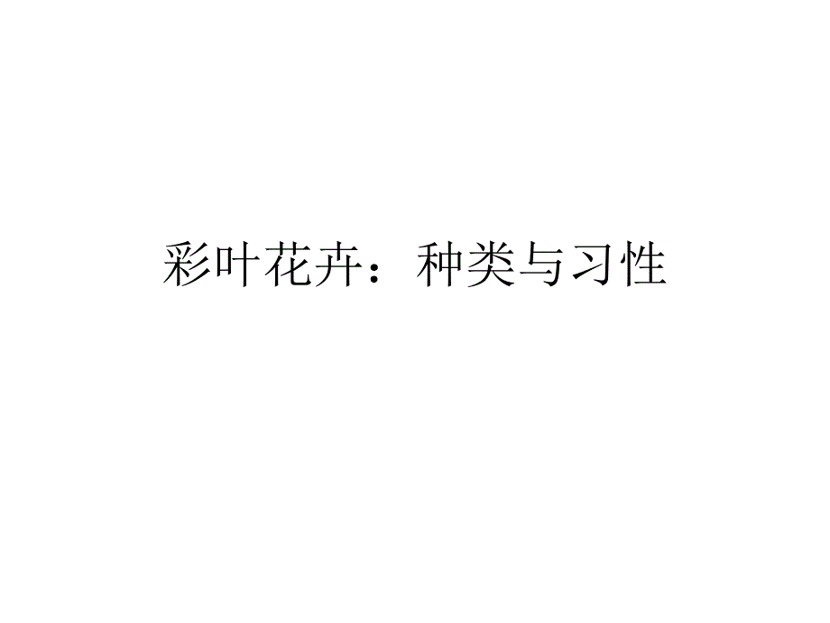 彩叶花卉-种类与习性_第1页