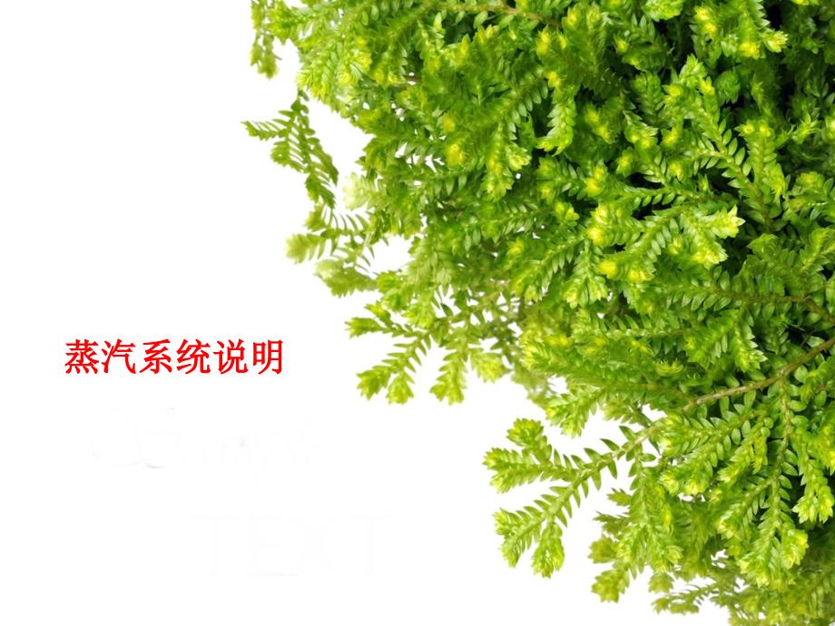 蒸汽系统说明分解_第1页