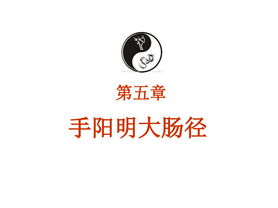 经络幻灯-第5章详解_第1页