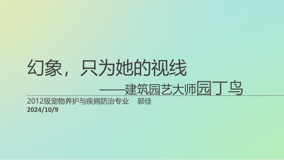 《园丁鸟品种介绍》PPT课件_第1页