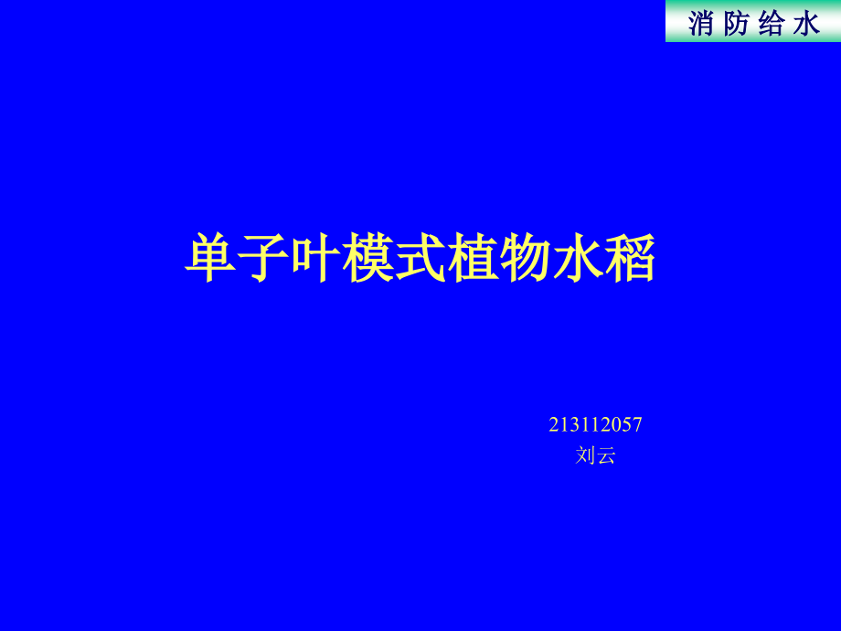 模式植物水稻课件_第1页