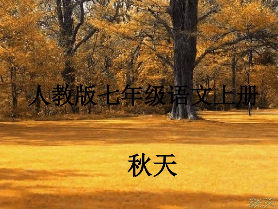 人教版七年级语文上册《秋天》课_第1页