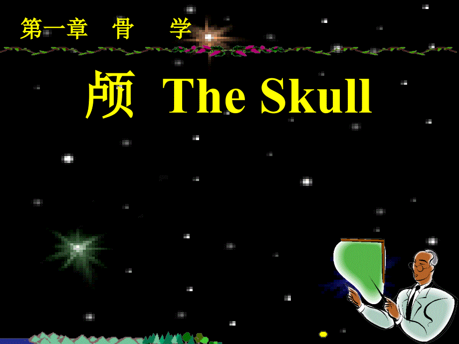 系解之颅四肢骨_第1页