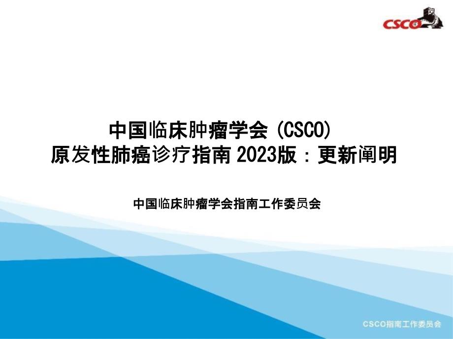 CSCO肺癌指导更新说明_第1页