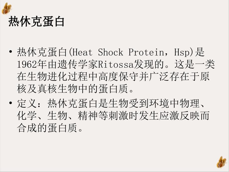 热休克蛋白ppt课件_第1页