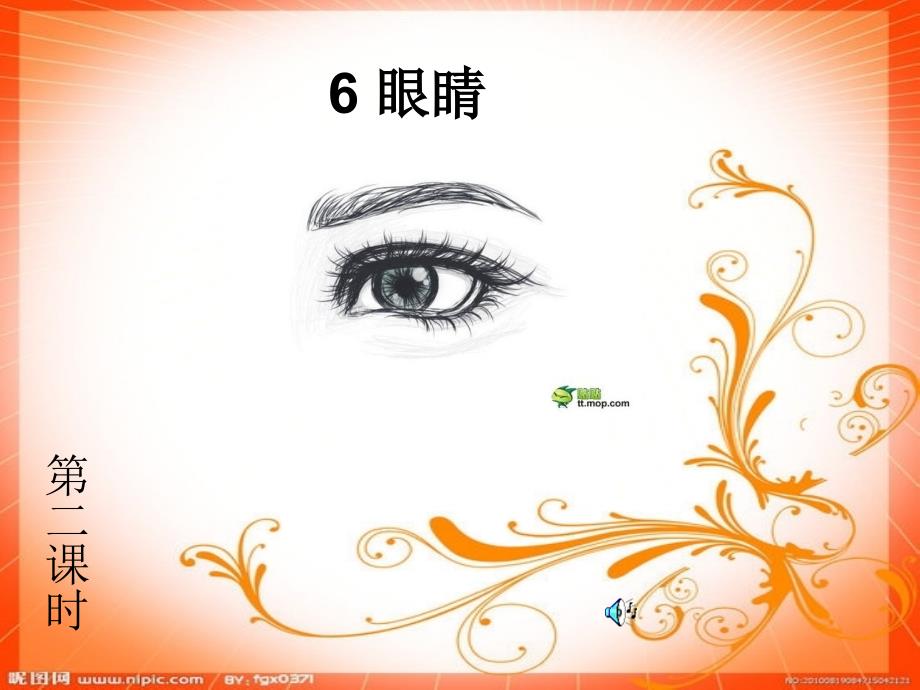 一年级上册《眼睛》课件_第1页