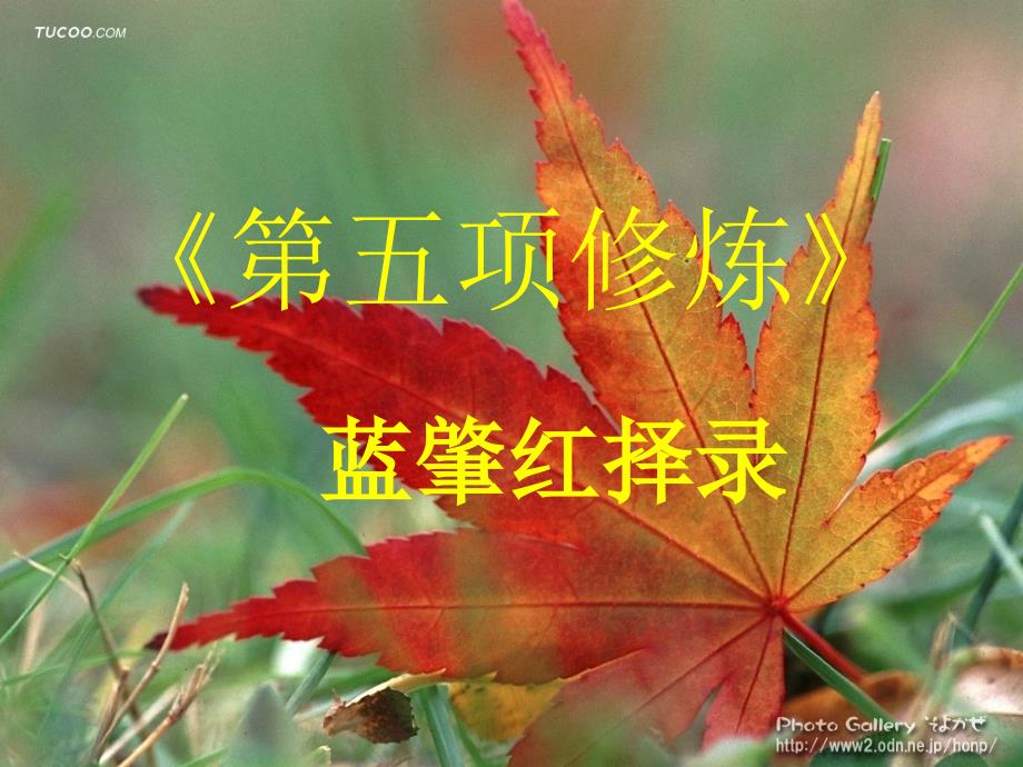 第五项修炼06641_第1页