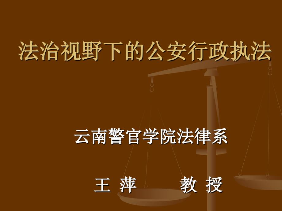 法治视野下的公安行政执法_第1页