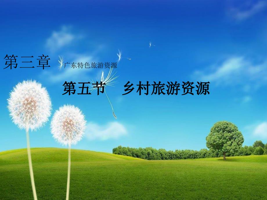 广东导游基础知识分析课件_第1页