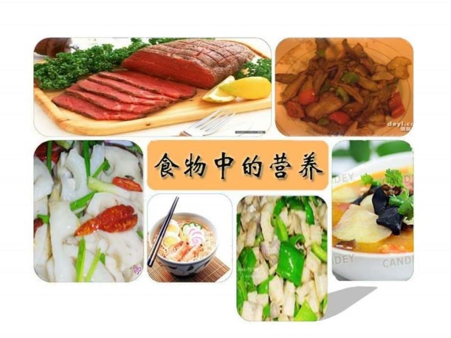 四年级科学上册《食物中的营养之一(人教版)》PPT课件_第1页