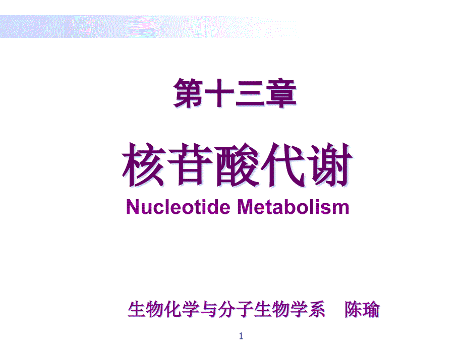 核苷酸代谢讲座_第1页