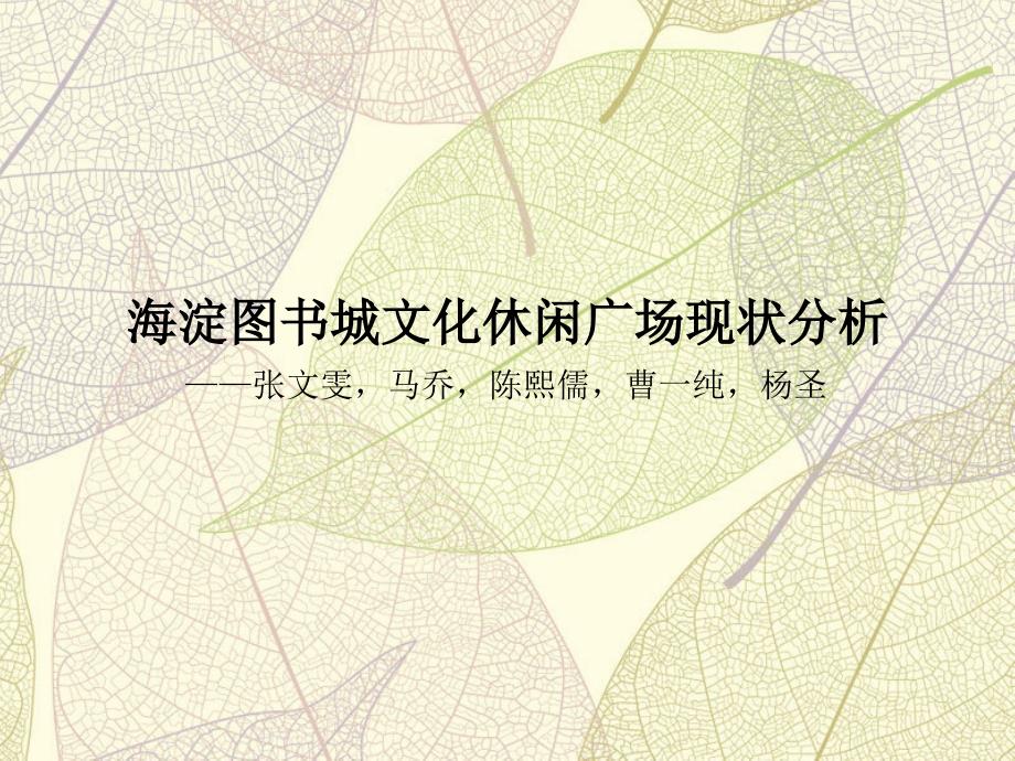 淀图书城文化休闲广场现状分析_第1页