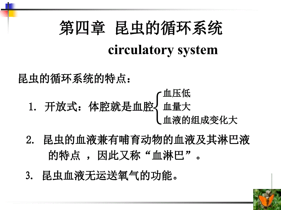 【教学课件】第四章昆虫的循环系统circulatorysystem_第1页