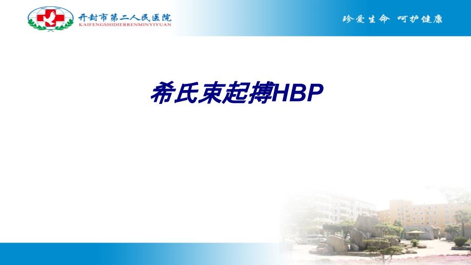 希氏束起搏HBP课件_第1页