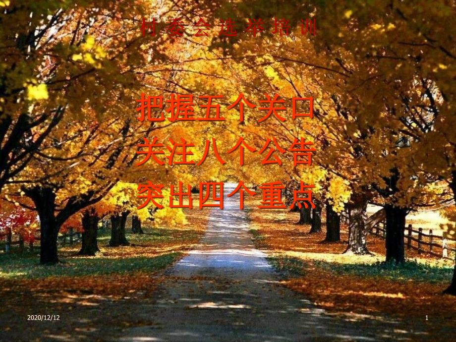 村-委-会-选-举-培-训教学ppt课件_第1页