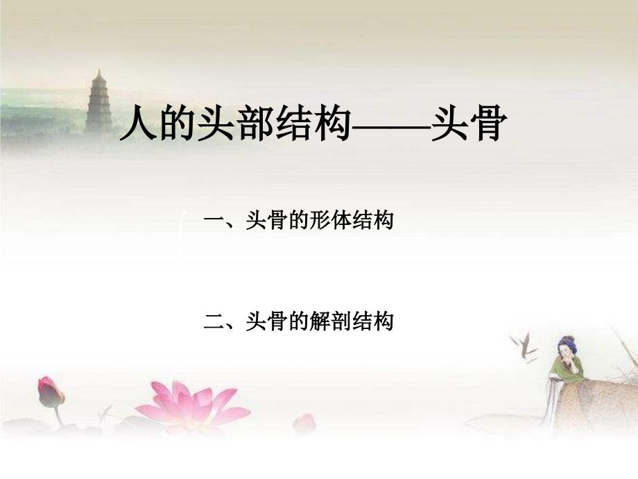 人的头部结构——头骨-PPT_第1页