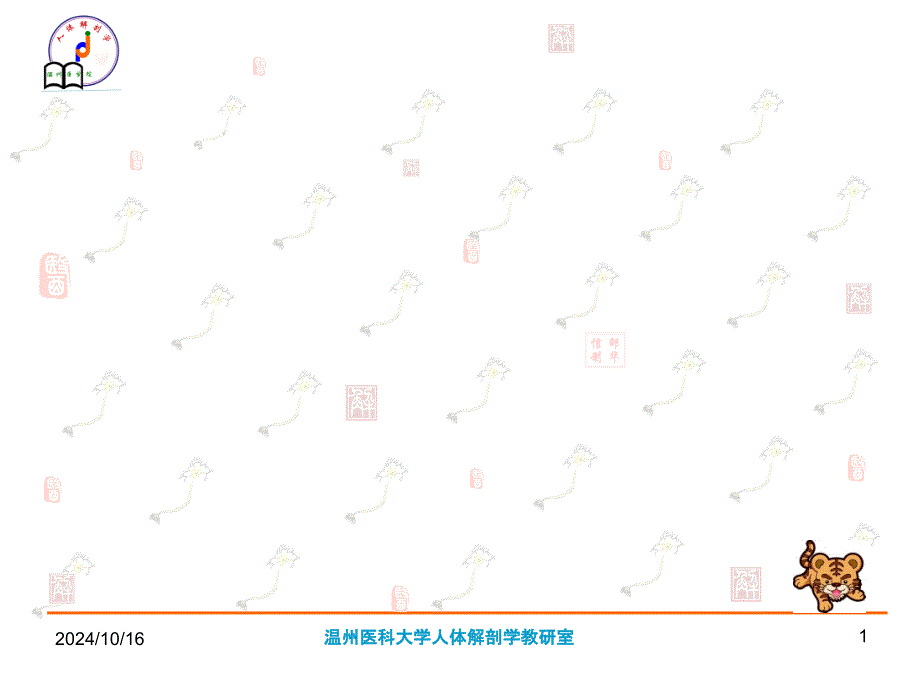 《结论骨总论》PPT课件_第1页