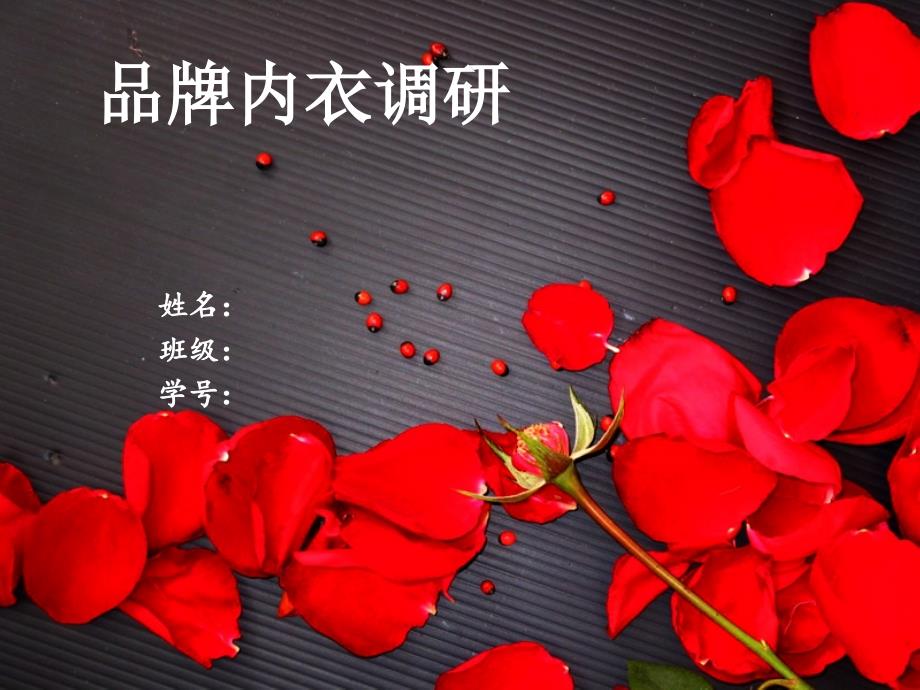 品牌内衣对比_第1页