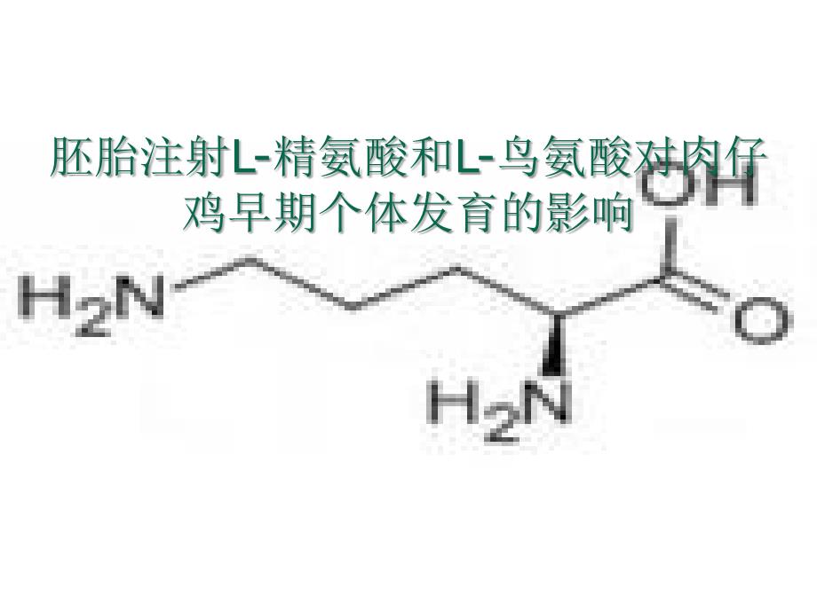 胚胎注射L-精氨酸和L-鸟氨酸对肉仔鸡早期个体发育的影响课件_第1页