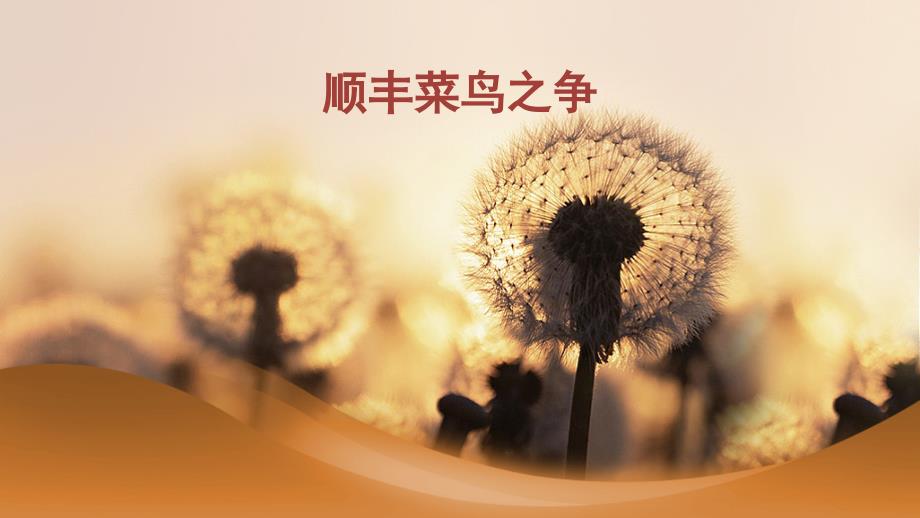 顺丰与菜鸟之争_第1页