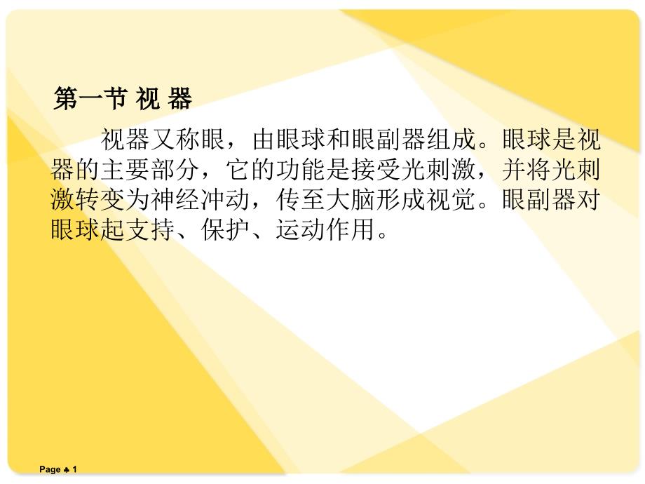 解剖学基础课件第章感觉器官--课件_第1页