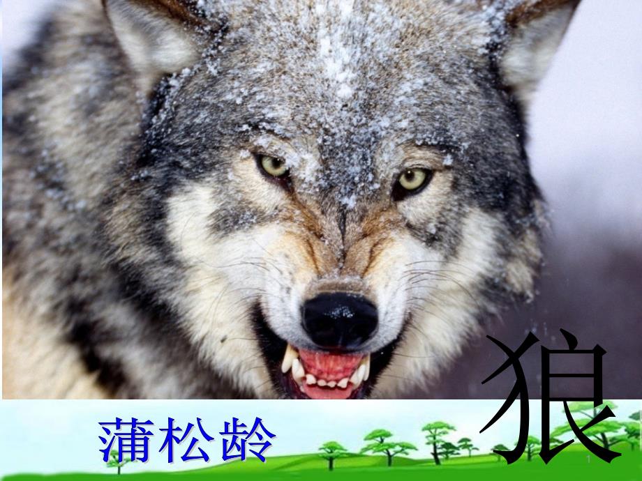 部编本人教版七年级语文上册《狼》--优秀ppt课件_第1页