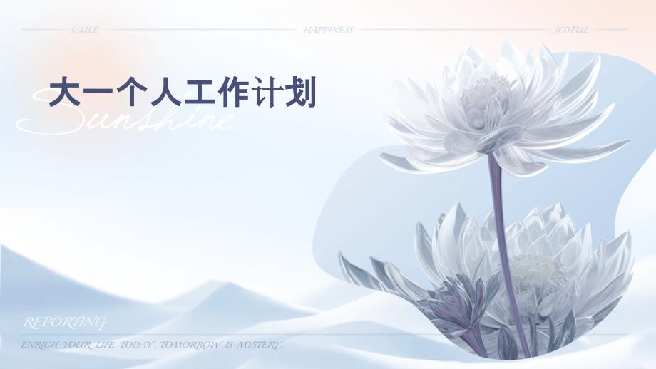 大一个人工作计划_第1页