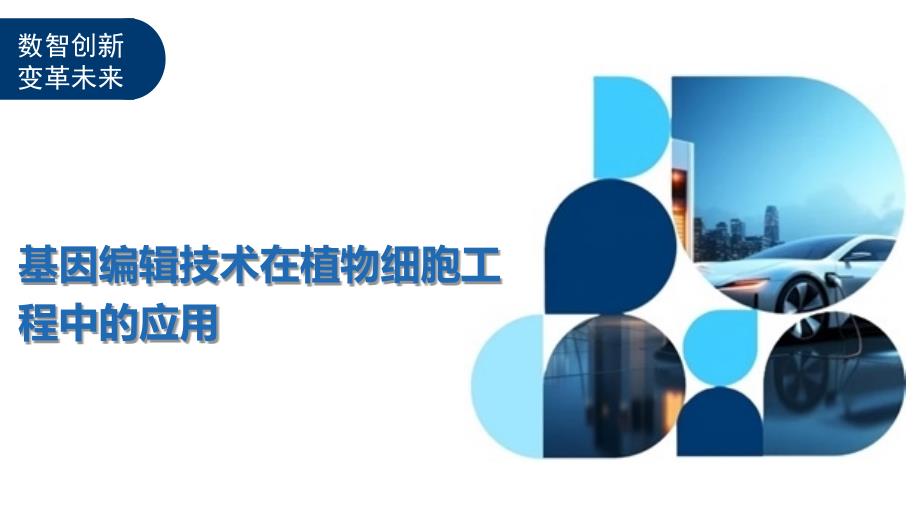 基因编辑技术在植物细胞工程中的应用-全面剖析_第1页