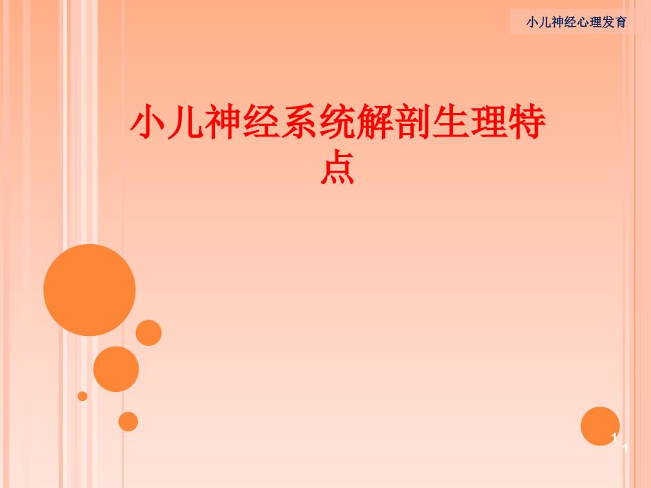 小儿神经系统解剖生理特点_第1页