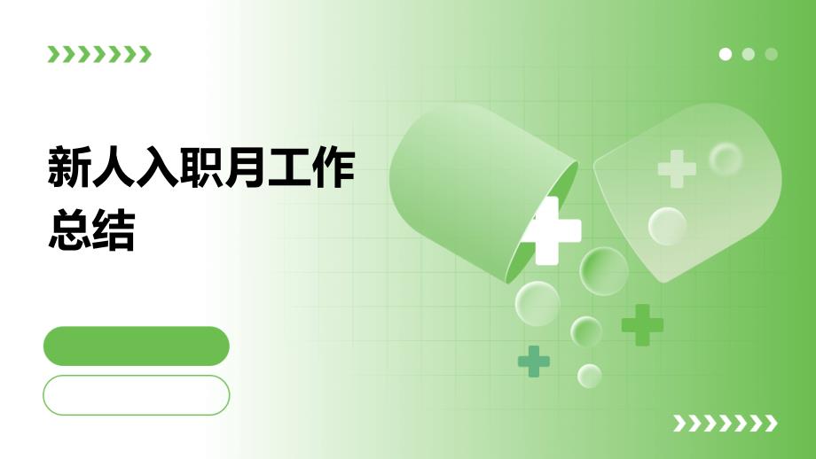 新人入职月工作总结PPT演示稿_第1页
