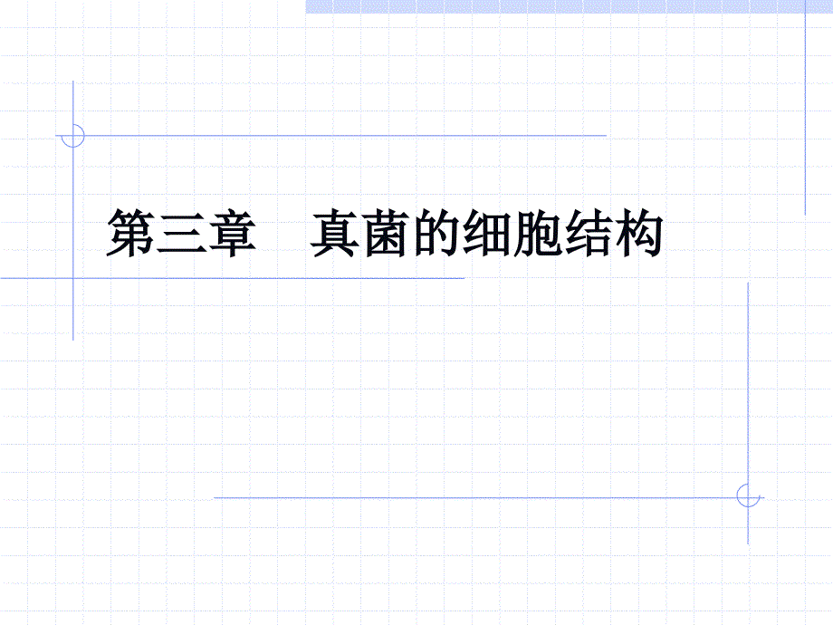 第三章 真菌的细胞结构new_第1页