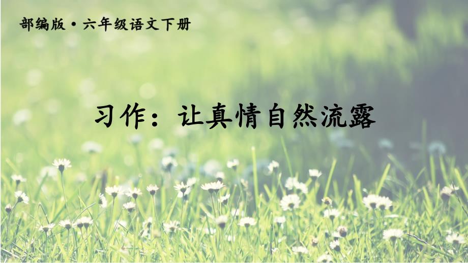 部编版六年级语文下册第三单元习作：让真情自然流露-ppt课件_第1页