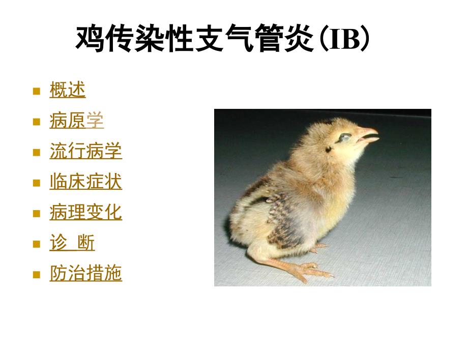 禽病学课件第三章病毒病_第1页