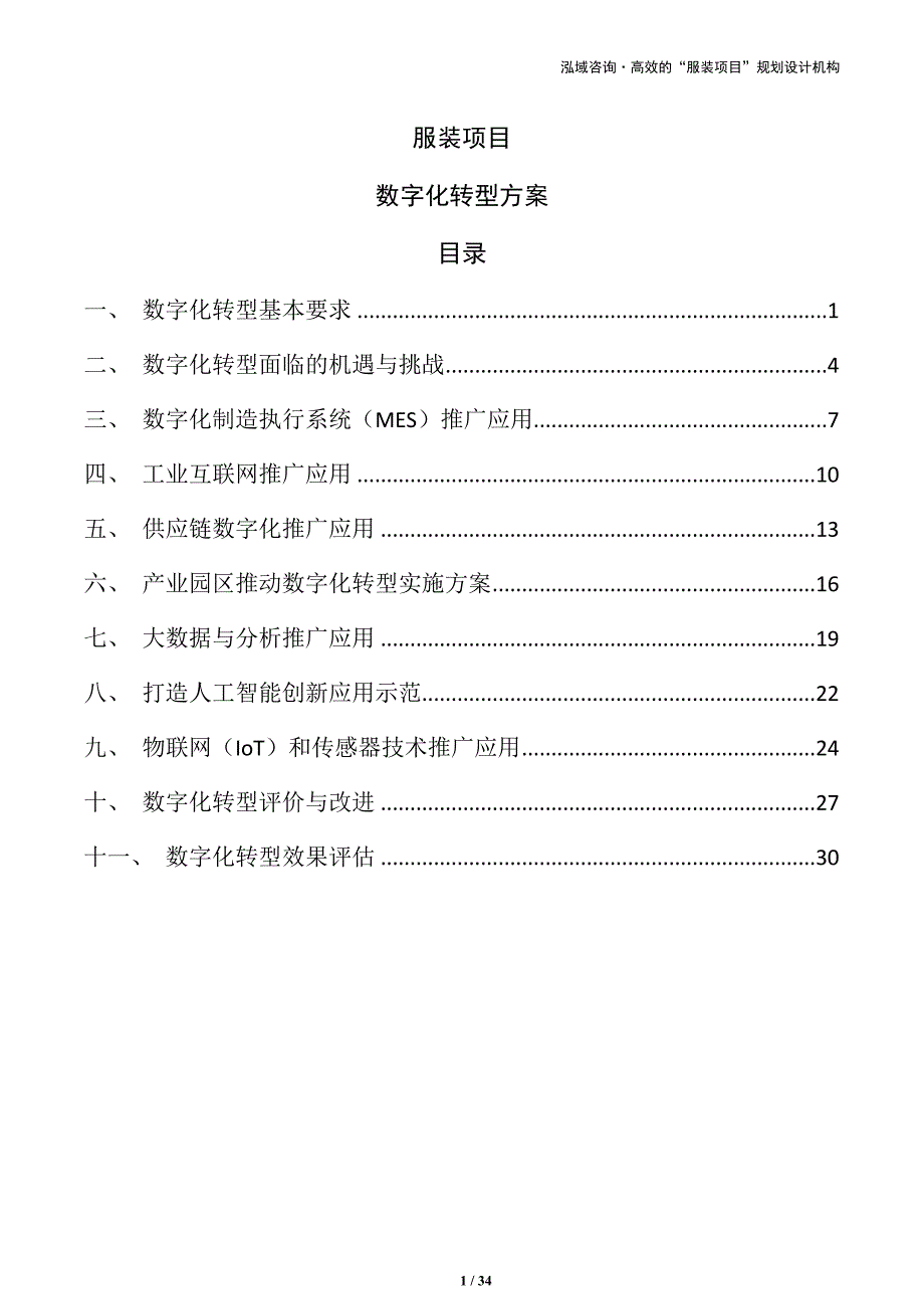 服装项目数字化转型方案（范文模板）_第1页