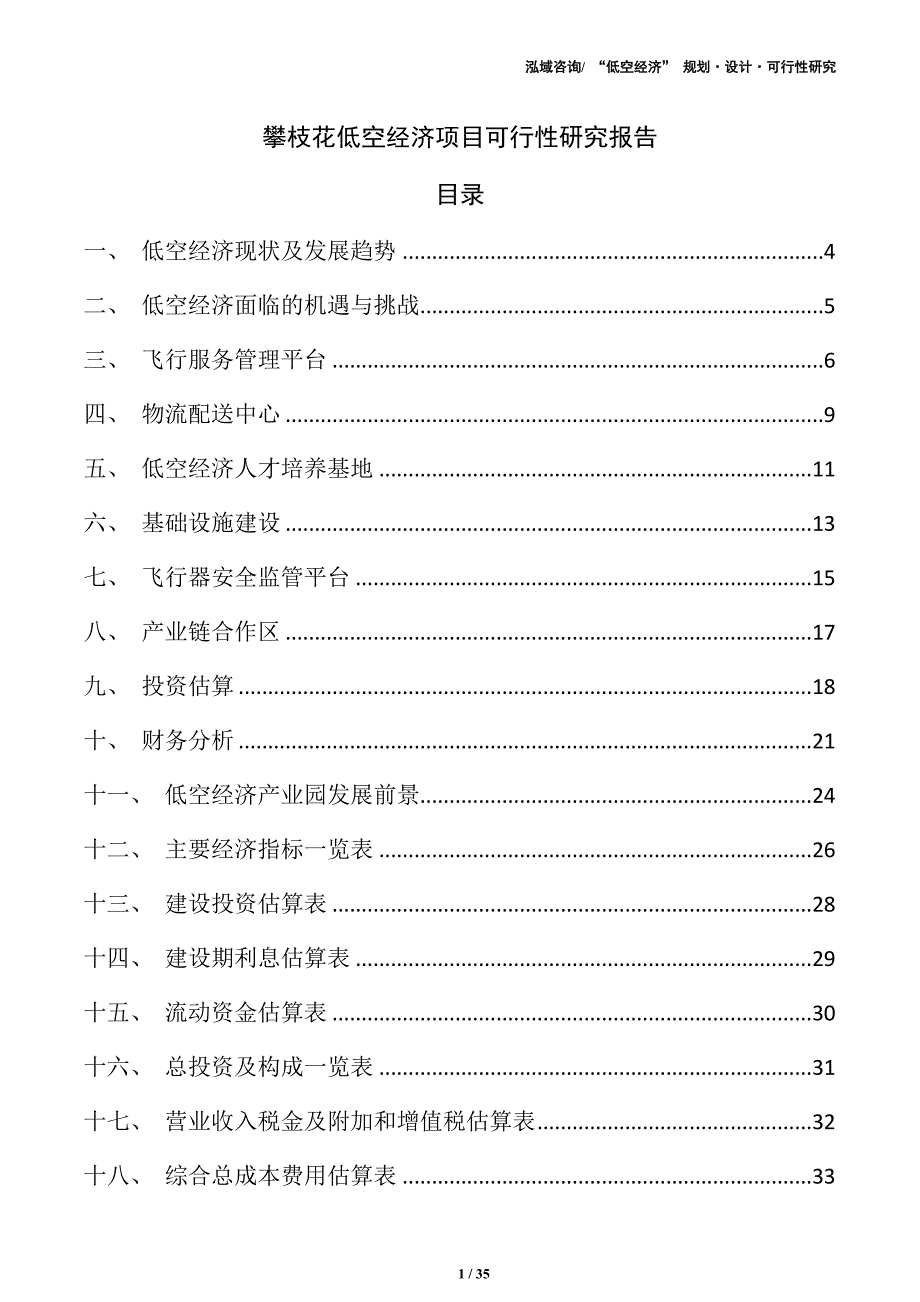 攀枝花低空经济项目可行性研究报告（模板）_第1页