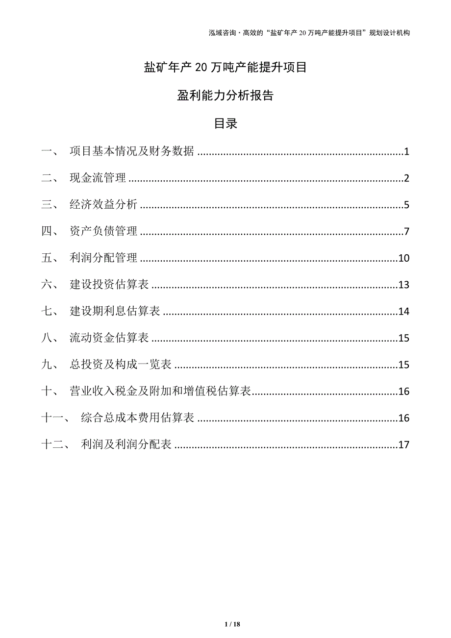 盐矿年产20万吨产能提升项目盈利能力分析报告（模板范文）_第1页