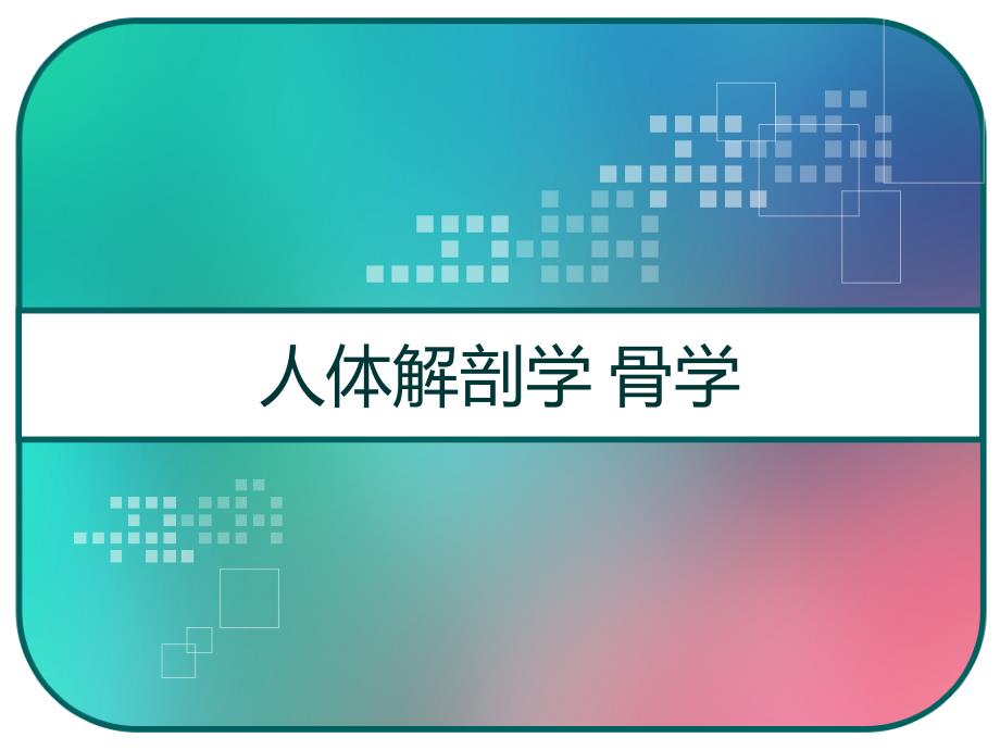 人体解剖学骨学-课件_第1页