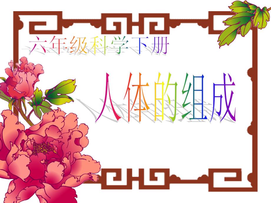 《人体的组成》科学课件PPT_第1页