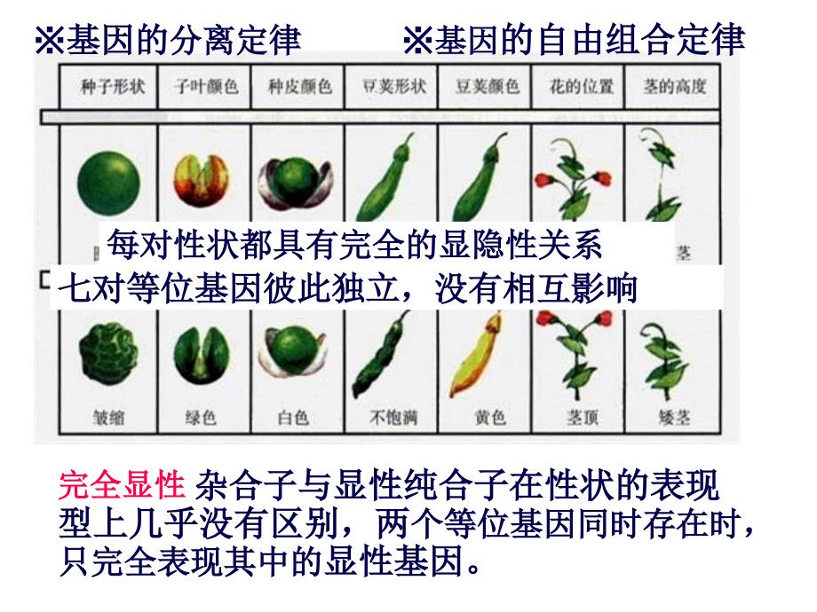 孟德尔定律的扩展课件_第1页