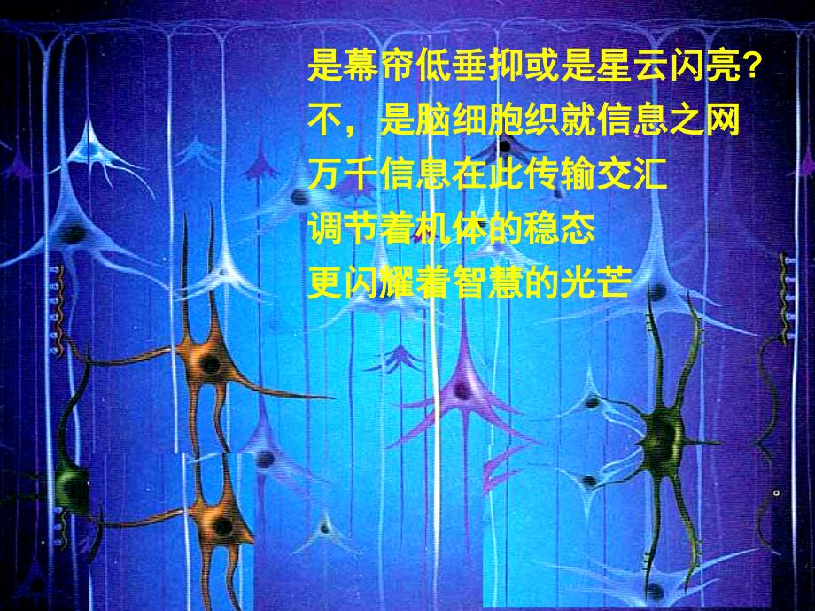 12、神经冲动的产生和传导(一)课件_第1页