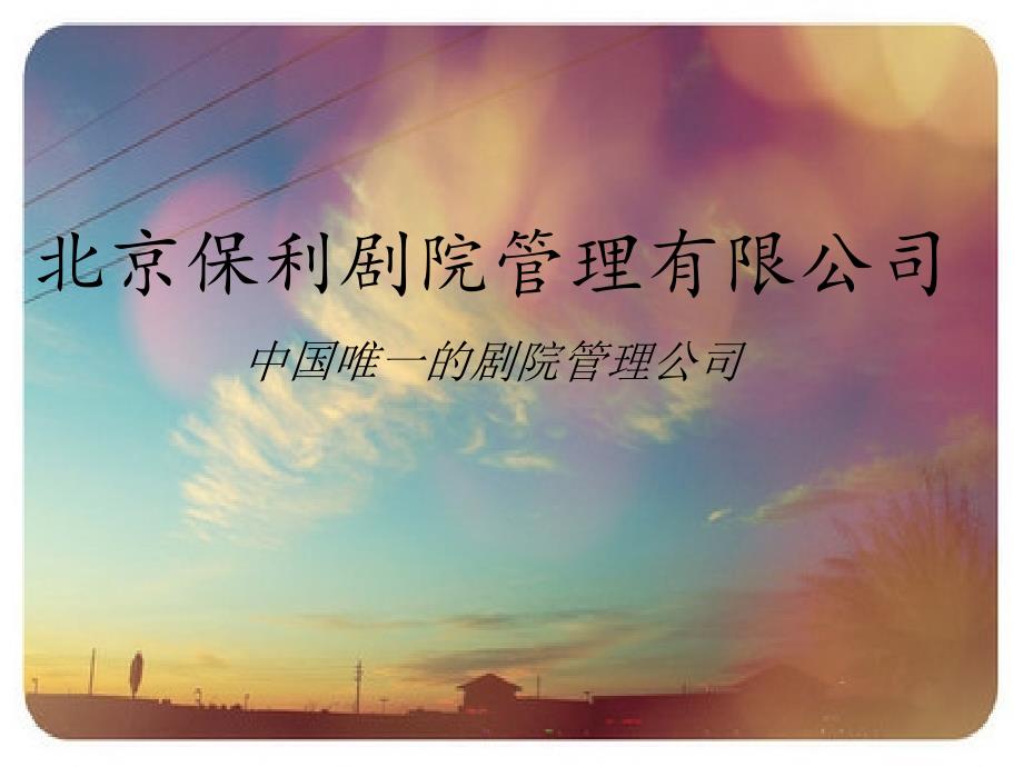 保利剧院管理有限公司课件_第1页
