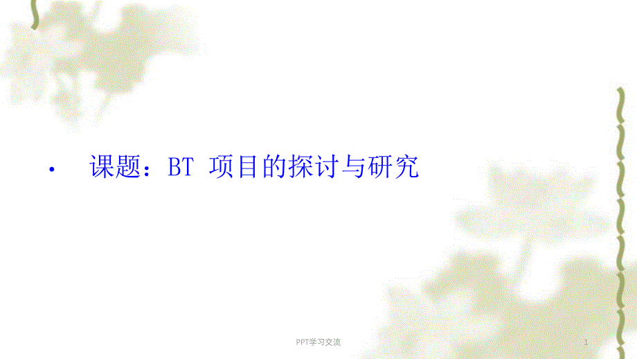 BT项目详解课件_第1页