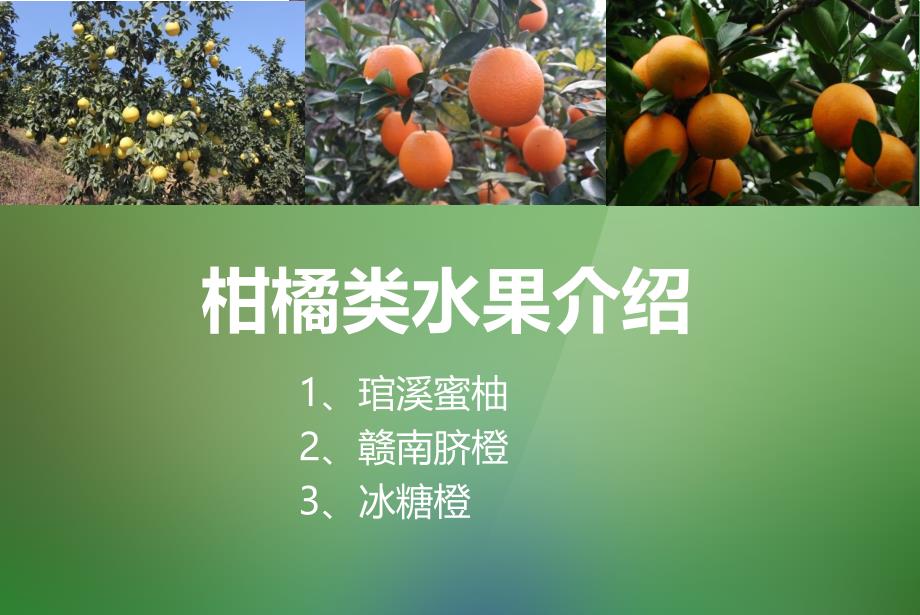 《柑橘类水果介绍》PPT课件_第1页