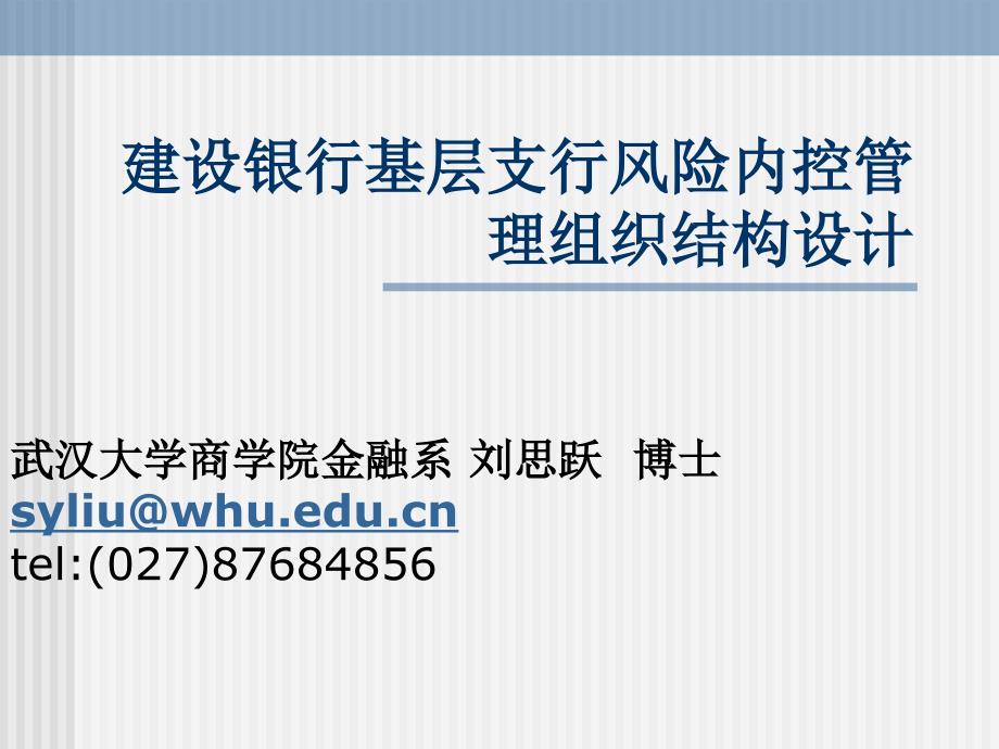 武汉大学金融系博士讲座专题某银行基层支行风险内控管理组织_第1页