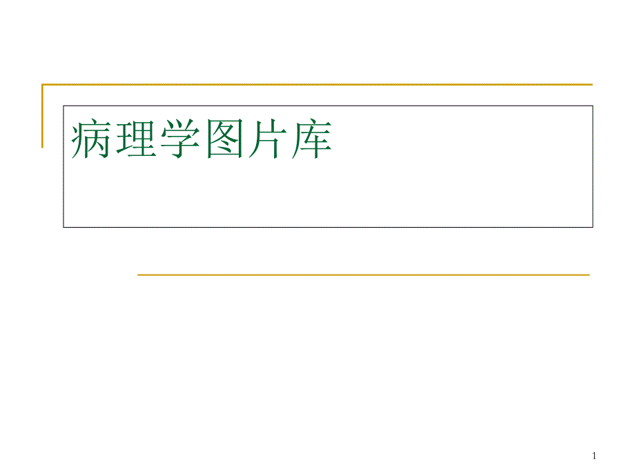 病理学切片图片库学习课件_第1页