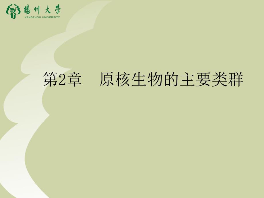 原核生物的主要类群_第1页