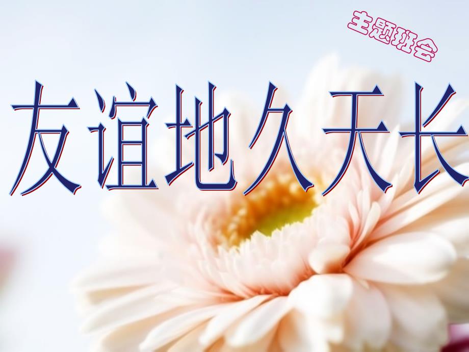 初中班会主题(友谊)_第1页