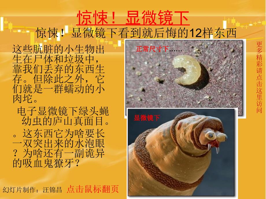 《惊悚显微镜》PPT课件_第1页