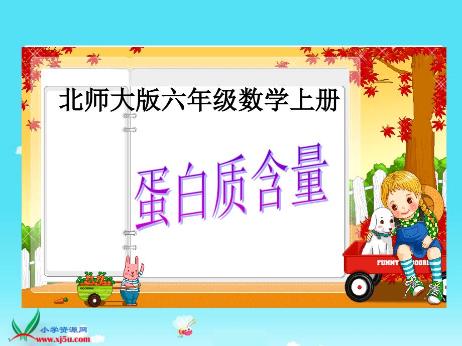 北师大版数学六年级上册《蛋白质含量》课件_第1页