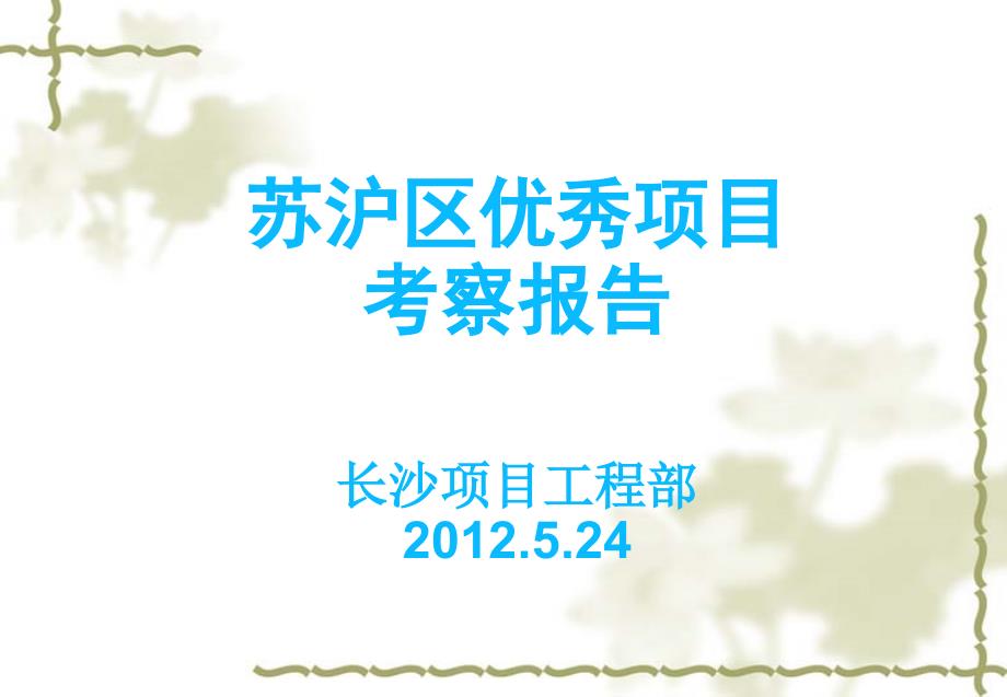 优秀项目考察报告110411_第1页